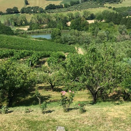Villetta Le Rose Tavullia Dış mekan fotoğraf