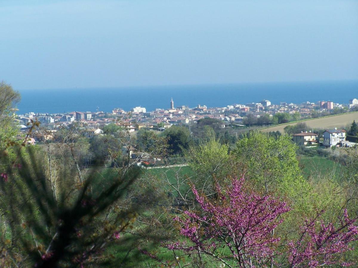 Villetta Le Rose Tavullia Dış mekan fotoğraf