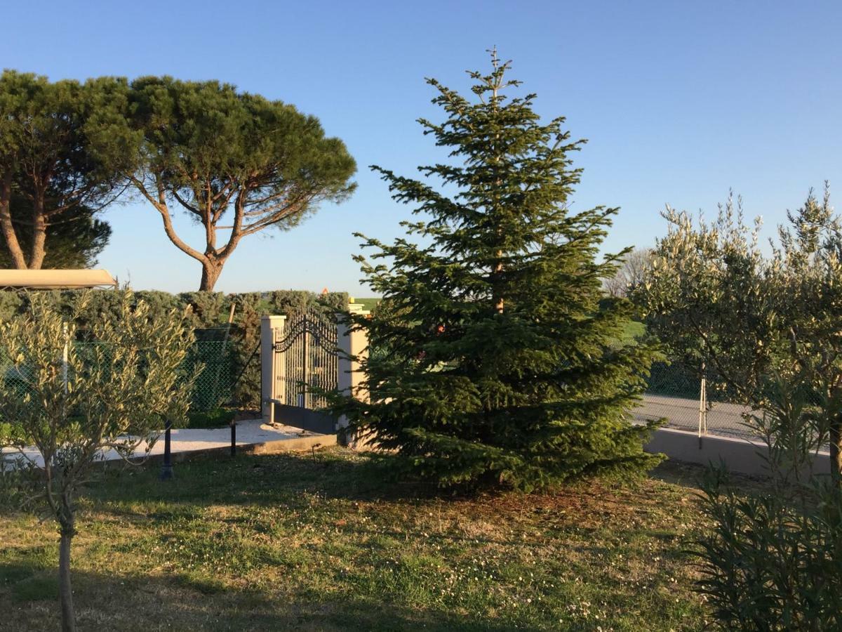 Villetta Le Rose Tavullia Dış mekan fotoğraf