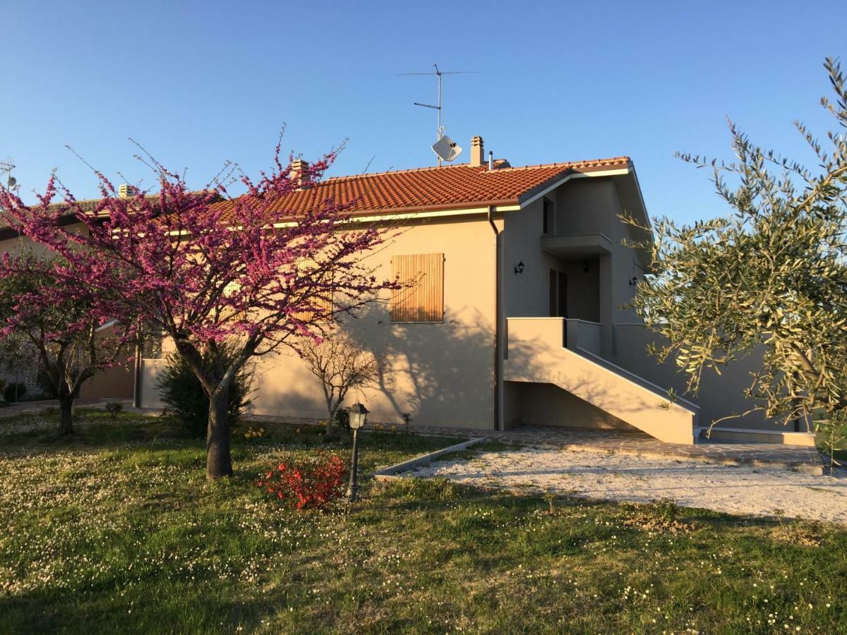 Villetta Le Rose Tavullia Dış mekan fotoğraf