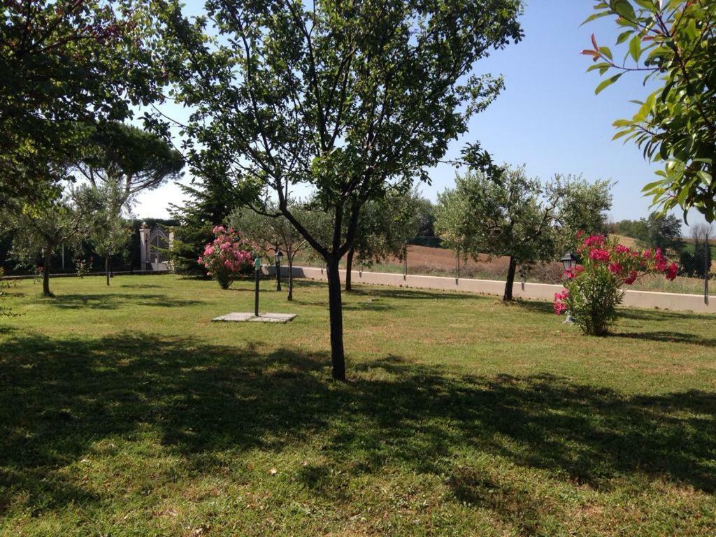 Villetta Le Rose Tavullia Dış mekan fotoğraf
